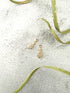 Cream and Gold Metal Zipper Pull 1 Pair NTN00087